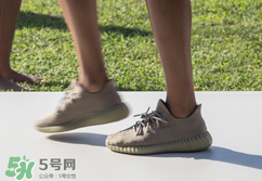 adidas yeezy 350 boost v2 dark green椰子350大地綠多少錢？