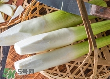 篙芭是什么菜?篙芭長什么樣子?