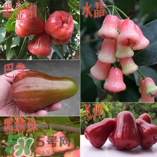 蓮霧什么季節(jié)吃最好？什么品種的蓮霧最好吃