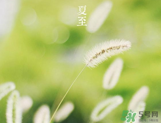 夏至是夏天的開(kāi)始嗎 夏至是幾月幾日