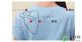 三伏貼貼在什么位置？三伏貼貼哪里？