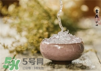 雪燕的功效 雪燕的作用