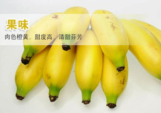 皇帝蕉多少錢一斤？2017皇帝蕉價(jià)格