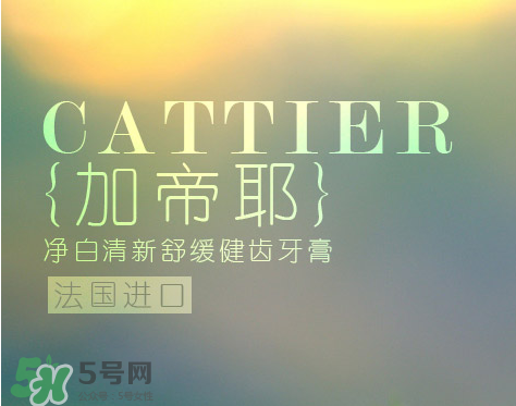 cattier加帝耶是什么牌子？法國cattier什么檔次？