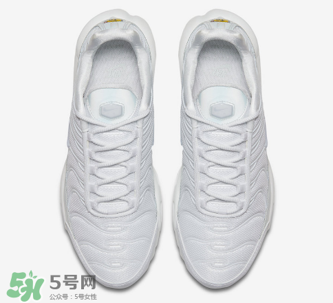 nike air max plus ice blue多少錢？耐克氣墊plus冰藍配色價格