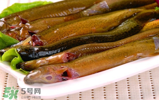 鰻魚是泥鰍嗎？鰻魚與泥鰍什么區(qū)別