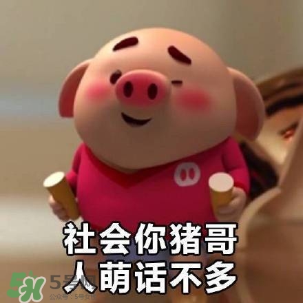 豬小屁表情包是什么？豬小屁表情包為什么這么火？