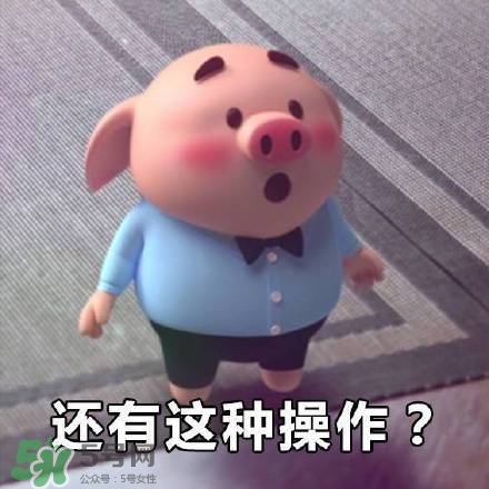 豬小屁表情包是什么？豬小屁表情包為什么這么火？