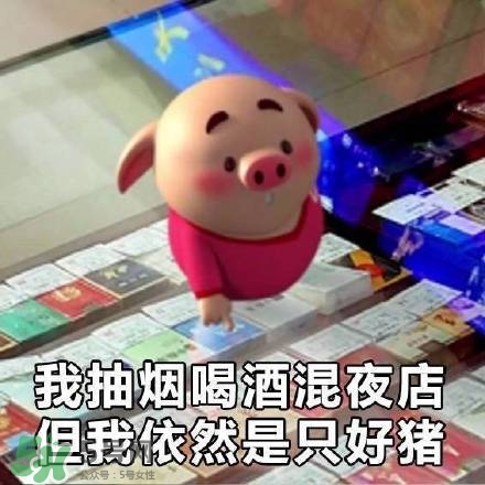 豬小屁表情包是什么？豬小屁表情包為什么這么火？