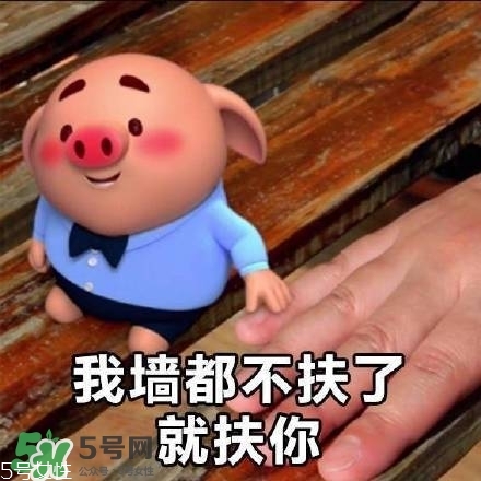 豬小屁多少錢一個？豬小屁哪里可以買到