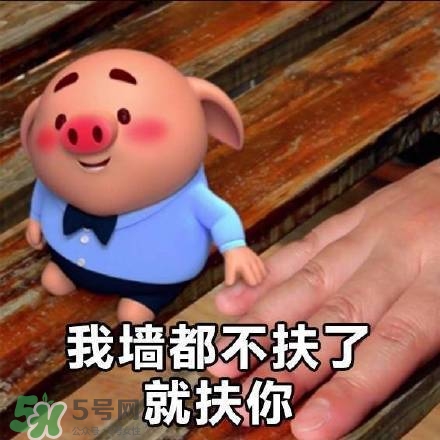 豬小屁表情包是什么？豬小屁表情包為什么這么火？