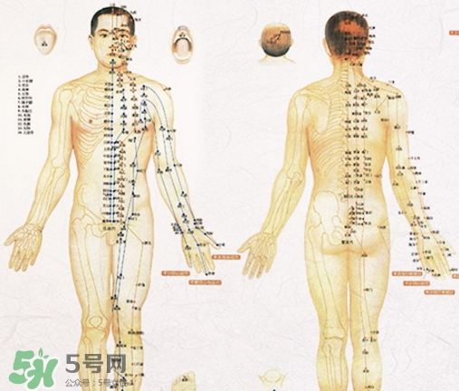 貼三伏貼可以吃西瓜嗎？貼三伏貼吃西瓜有什么害處