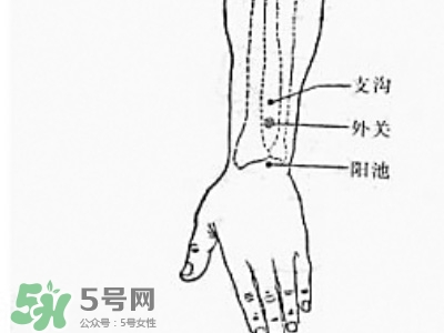 三伏貼能治過敏性鼻炎嗎？三伏貼治過敏性鼻炎貼哪里？