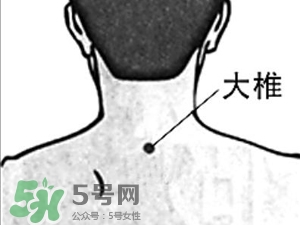 三伏貼能治過敏性鼻炎嗎？三伏貼治過敏性鼻炎貼哪里？