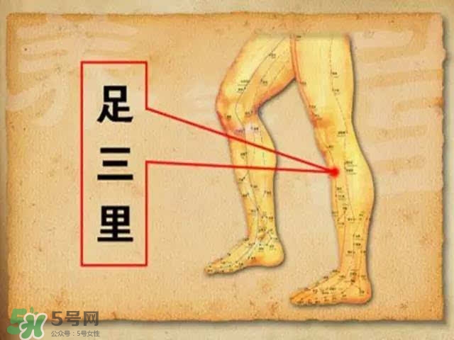 三伏灸可以去除體內(nèi)濕氣嗎？三伏灸可以去濕氣嗎？