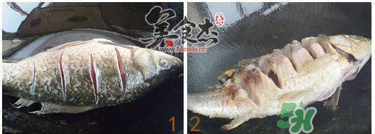 三伏灸可以吃魚嗎？三伏灸可以吃什么魚？