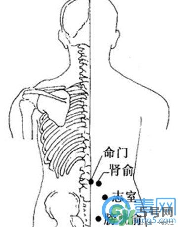 三伏灸可以治腰腿痛嗎？三伏灸治腰腿痛灸哪里》