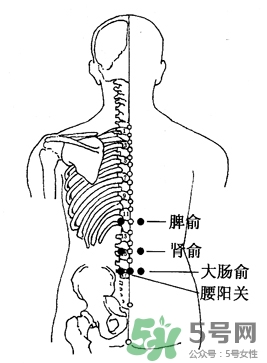 三伏灸可以治腰腿痛嗎？三伏灸治腰腿痛灸哪里》