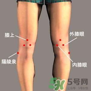 三伏灸可以治腰腿痛嗎？三伏灸治腰腿痛灸哪里》