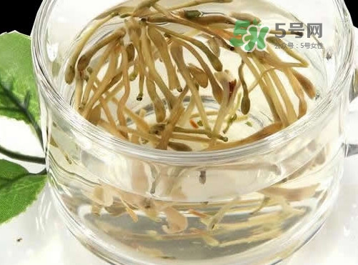 金銀花茶要怎樣泡才好喝？金銀花茶最佳泡茶水溫是多少