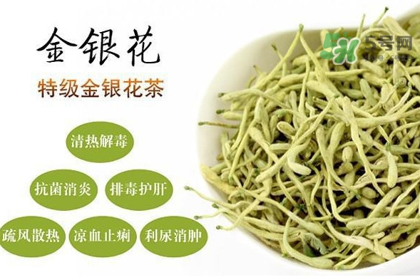 金銀花茶是去火的嗎？金銀花茶有什么功效與作用