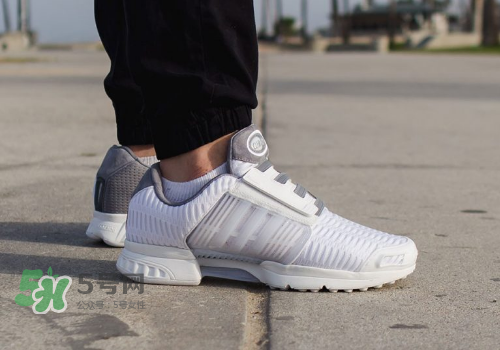 adidas climacool los angeles洛杉磯別注款怎么買_在哪買？