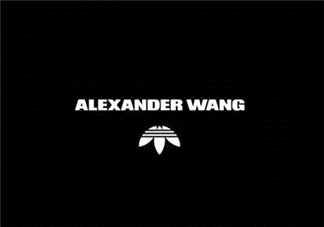 adidas originals by alexander wang聯(lián)名系列在哪買(mǎi)_怎么買(mǎi)？