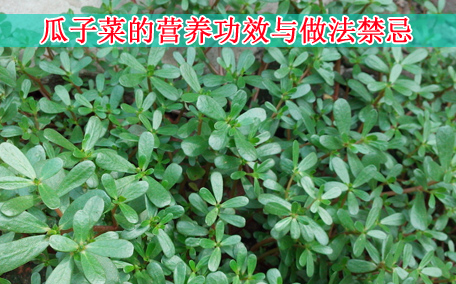 梅干菜會(huì)致癌嗎？致癌屬誤傳