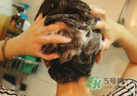 hair recipe水果洗發(fā)水怎么樣？hair recipe洗發(fā)水哪款好用