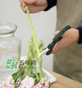 鮮花怎么保存時(shí)間長 鮮花怎么保鮮