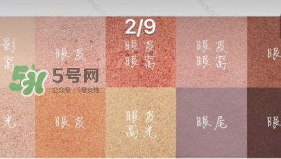 zoeva玫瑰金眼影盤怎么畫？zoeva rose golden畫法教程