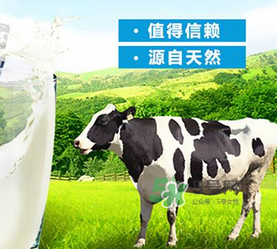 牛初乳是奶粉嗎？牛初乳跟奶粉的區(qū)別