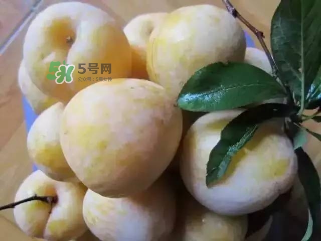 黃金奈李的營(yíng)養(yǎng)價(jià)值 黃金奈李的功效