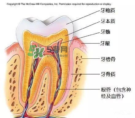 regenerate牙膏多少錢？regenerate牙膏專柜價格