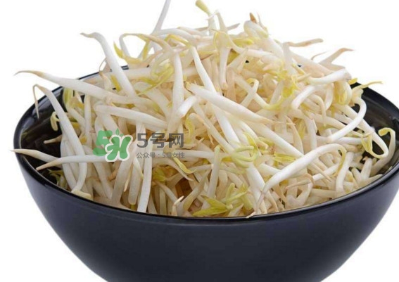 豆芽什么季節(jié)吃？豆芽什么時候有