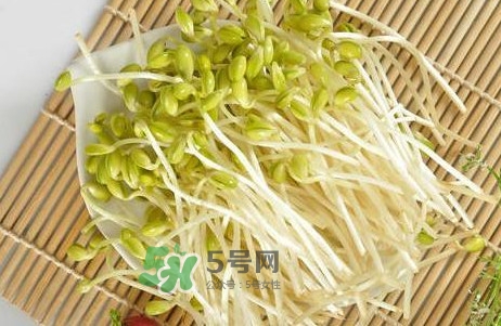 豆芽有根好還是無根好？無根豆芽與有根豆芽區(qū)別