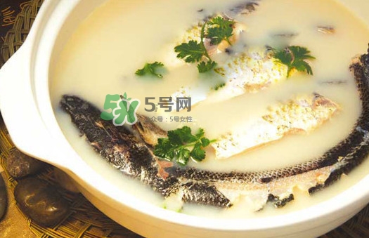 黃蜂魚怎么煮好吃？黃蜂魚燉湯孕婦可以喝嗎