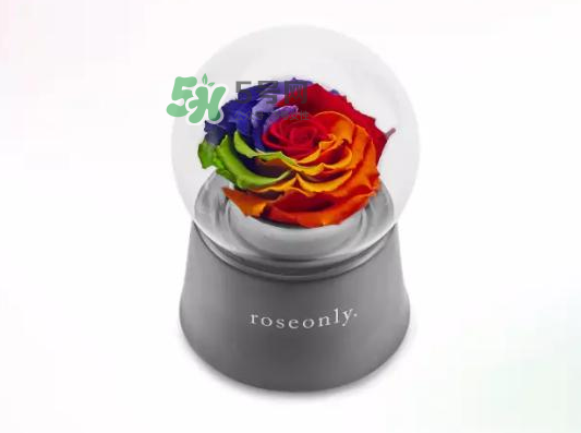 roseonly音樂盒多少錢？roseonly音樂盒歌曲名