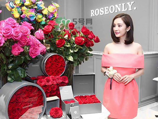 roseonly音樂盒多少錢？roseonly音樂盒歌曲名