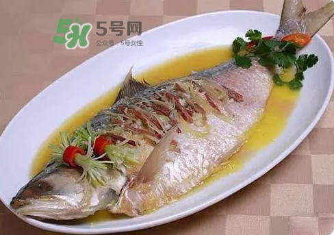 鰣魚怎么讀？鰣魚是什么魚