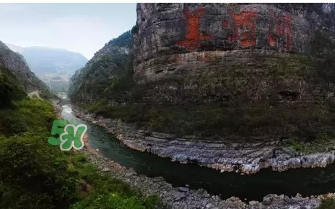 茅臺酒為什么那么貴？茅臺酒為什么這么貴