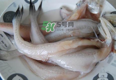 龍頭魚怎么殺？龍頭魚怎么處理？