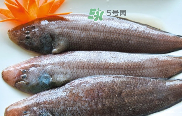 龍利魚怎么做給寶寶吃？龍利魚怎么處理