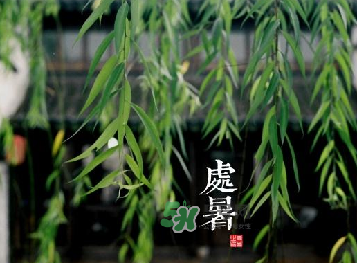 2017處暑還熱嗎？2017處暑后天氣還熱嗎？