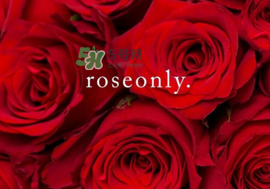 2017七夕禮盒roseonly多少錢？roseonly巨型玫瑰禮盒多少錢？