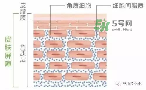 外油內(nèi)干的皮膚怎么護理 先補水還是先控油