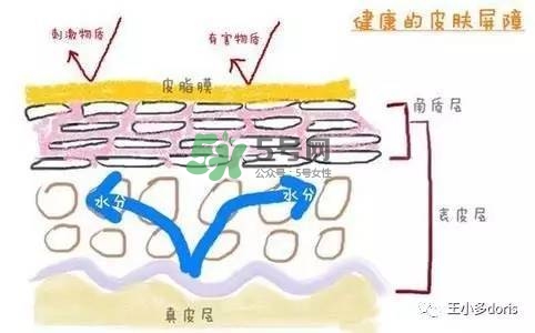 外油內(nèi)干的皮膚怎么護理 先補水還是先控油