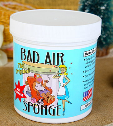 Bad Air Sponge有用嗎？Bad Air Sponge效果如何？