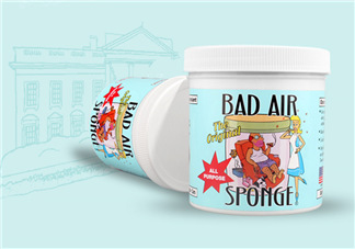 Bad Air Sponge有用嗎？Bad Air Sponge效果如何？