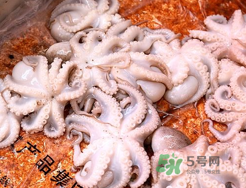 八爪魚可以冷凍嗎？八爪魚可以放冰箱嗎？